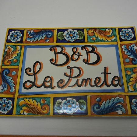B&B La Pineta Ρέτζιο ντι Καλάμπρια Εξωτερικό φωτογραφία